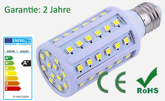 LED Leuchtmittel P9L-60SMD, 9 Watt