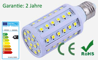 LED Leuchtmittel P9L-60SMD, 9 Watt